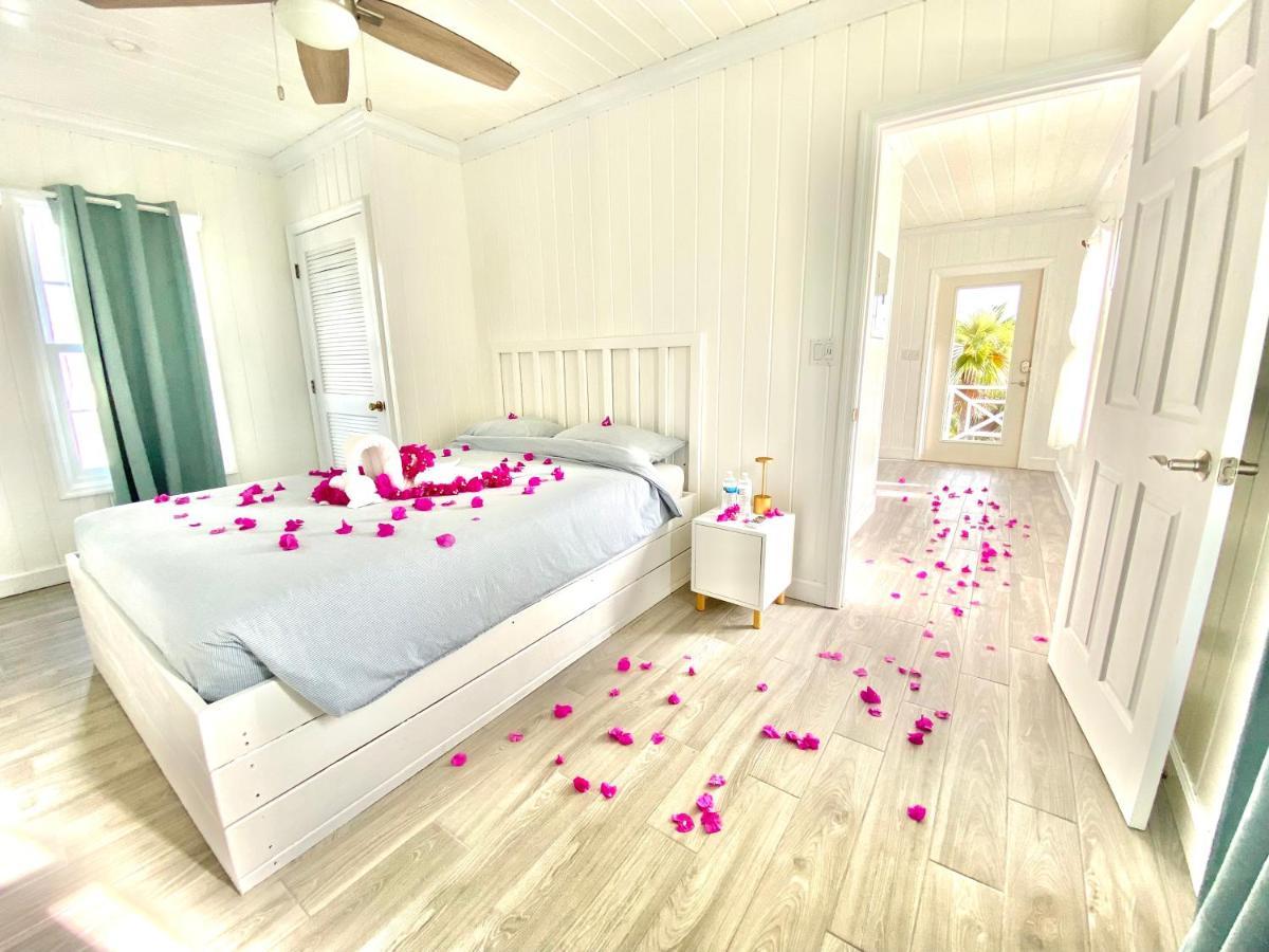 Eleuthera Retreat - Villa & Cottages On Pink Sand Beachfront Palmetto Point Extérieur photo